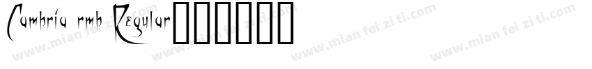 Cambria rmb Regular字体转换